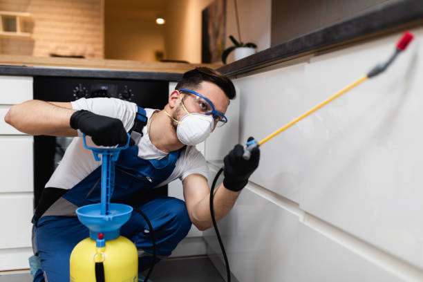 Best Termite Control Services  in Wmington, IL