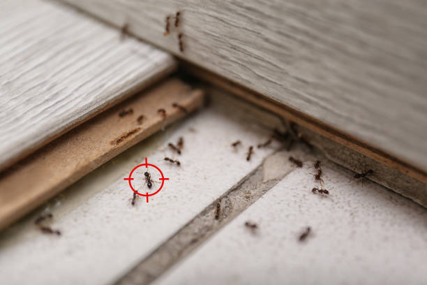 Wilmington, IL Pest Control Company